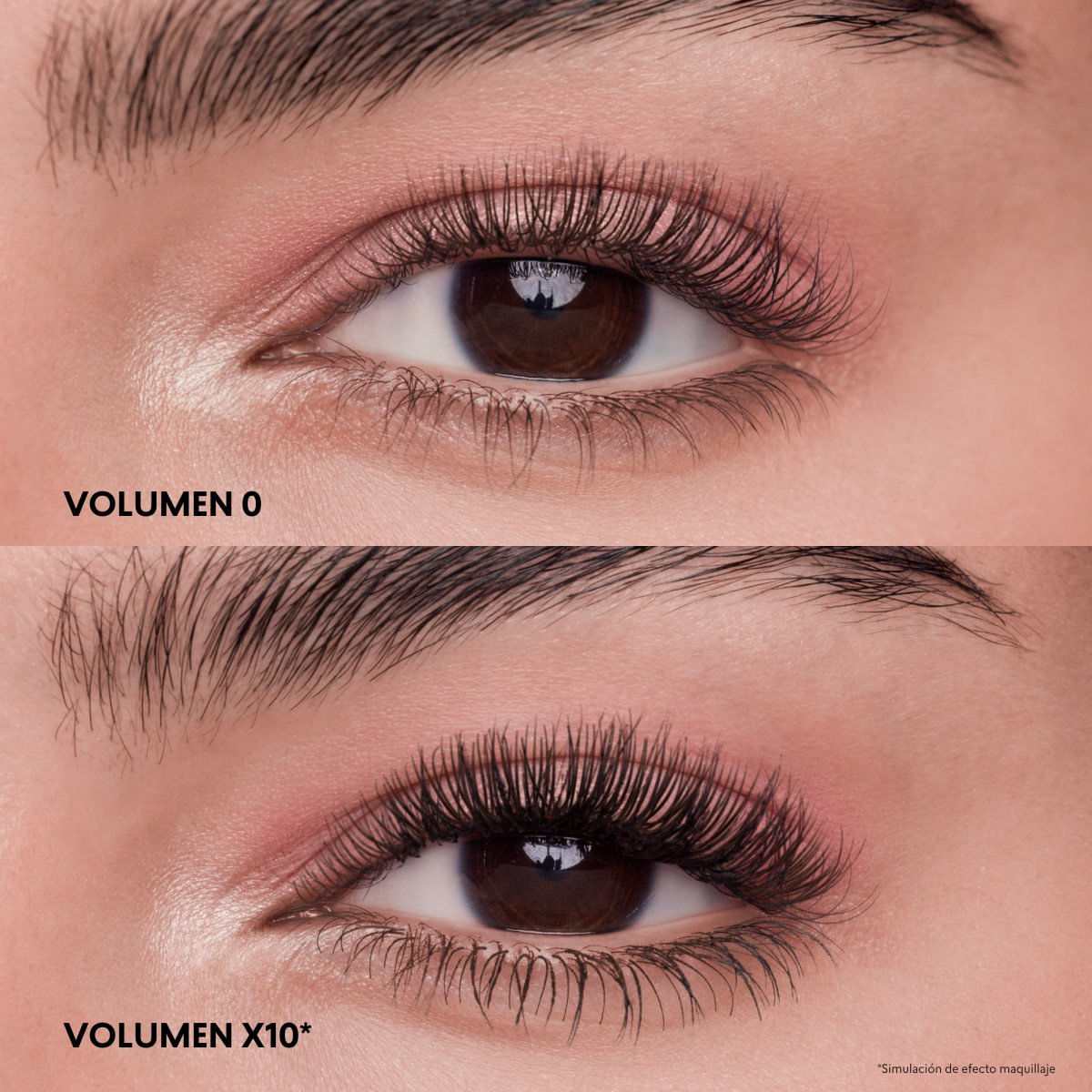 MAX VOLUMEN LASH STUDIO LOOK