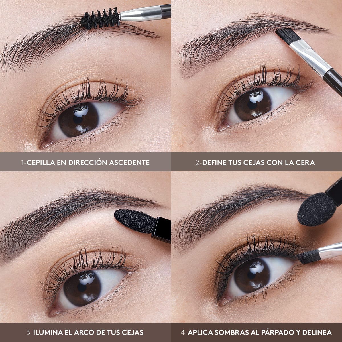 KIT 4 EN 1 PARA OJOS Y CEJAS