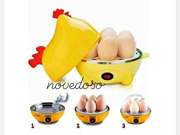 GALLINA SANCOCHA HUEVOS